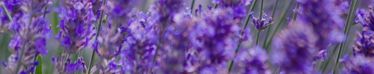 AROMATIC